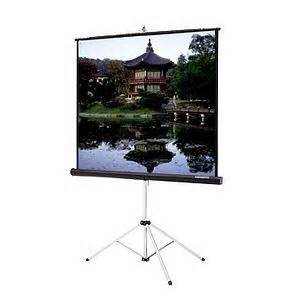 Portable Fold-Out Display - 73” x 32”-0