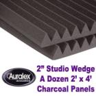 Studiofoam Wedges, 2" 12pcs 2'x4' panels Charcoal 2SF24CHA