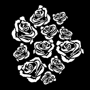 Gobo, Breakup Roses MS-1062-0