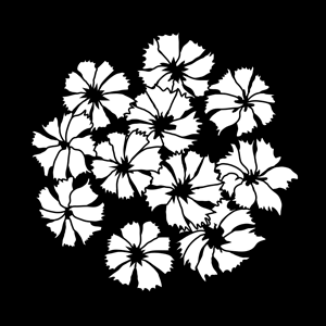Gobo, Tropical Blossoms MS-1163-0