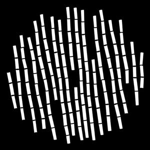 Gobo, Bamboo Stems MS-2555-0