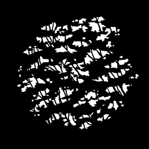 Gobo, Thicket MS-3565-0