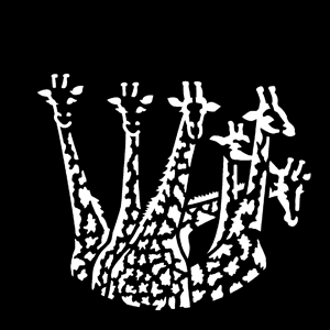 Gobo, Africa Giraffes MS-4115-0