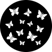 Gobo, Boundaries & Wildlife: Butterflies - 76508-0