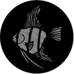 Gobo, Boundaries & Wildlife: Meshed Angel Fish - 77612-0