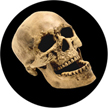 Gobo, Glass Color Scene: Laughing Skull (KC Hooper) - 86686-0