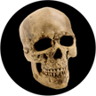 Gobo, Glass Color Scene: Yorick Skull (KC Hooper) - 86687-0