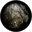 Gobo, Glass Color Scene: Autumn Branches (Lisa Cuscuna) - 86702-0