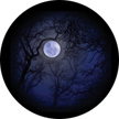 Gobo, Glass Color Scene: Howling Moon (Lisa Cuscuna) - 86710-0