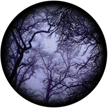 Gobo, Glass Color Scene: Cloud Branches (Lisa Cuscuna) - 86712-0