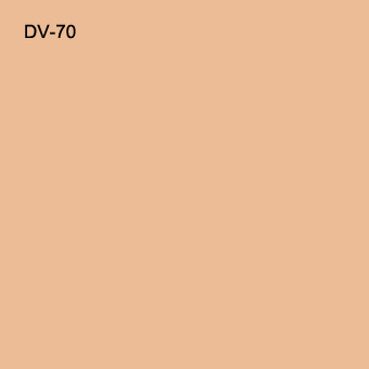 DV-70 DuraCover, MediaPRO Concealers & Adjusters, .3oz./8.5gm -0