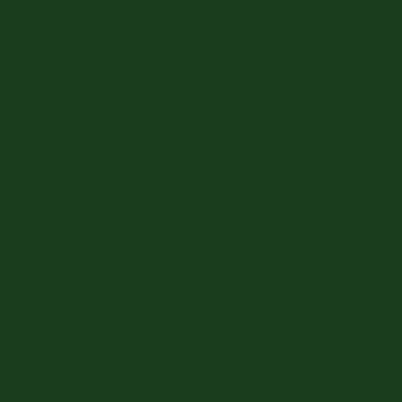 #5571 Iddings Deep Colors, Dark Green - Quart-0
