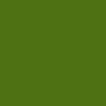 #5565 Iddings Deep Colors, Chrome Oxide Green - Quart-0